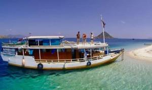 Boat Type & Specification from Komodo Boat Trip