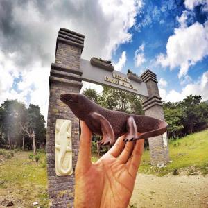 History of Florest Island And Komodo National Park