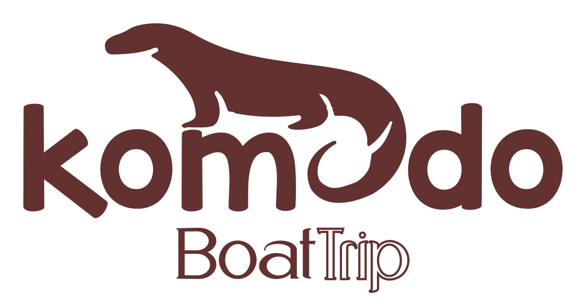 Cheap Komodo Island Tour