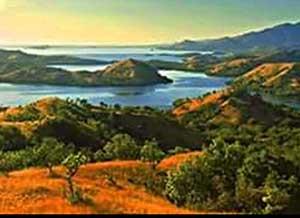 One Day Trip - Rinca Island