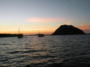 10 Days Trip - Flores and Komodo Island Tours