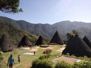 5 Days Trip - Wae Rebo Village and Komodo Island Tours